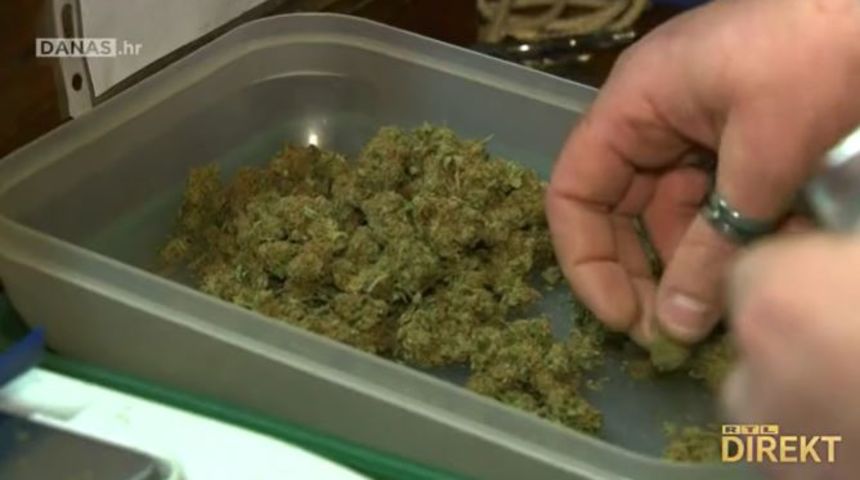 Hoće li se Hrvatska ugledati u Njemačku, Maltu i Kanadu i dozvoliti pušenje trave?