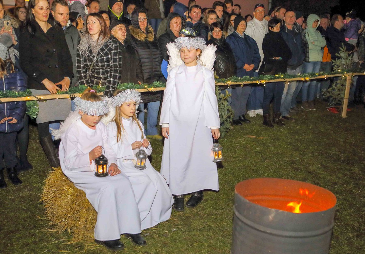 0379909da76d06a1fd703c98456b19db.jpg?v=2