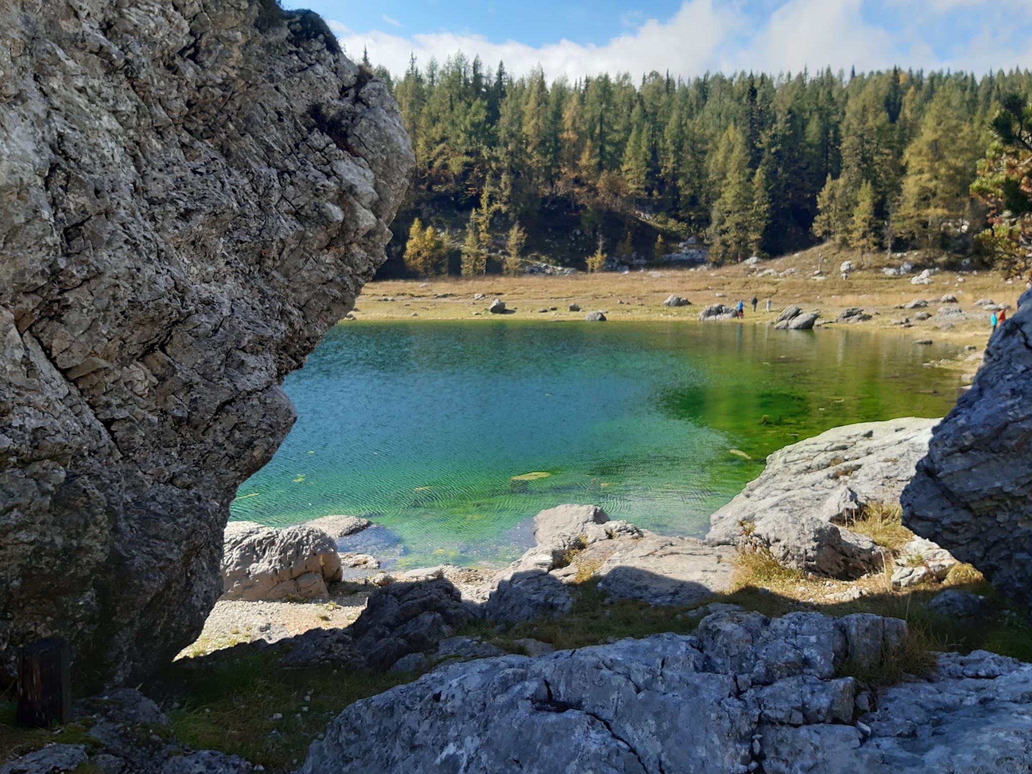 08461a9bc0ac54cab18d56ac02bed761.jpg?v=2