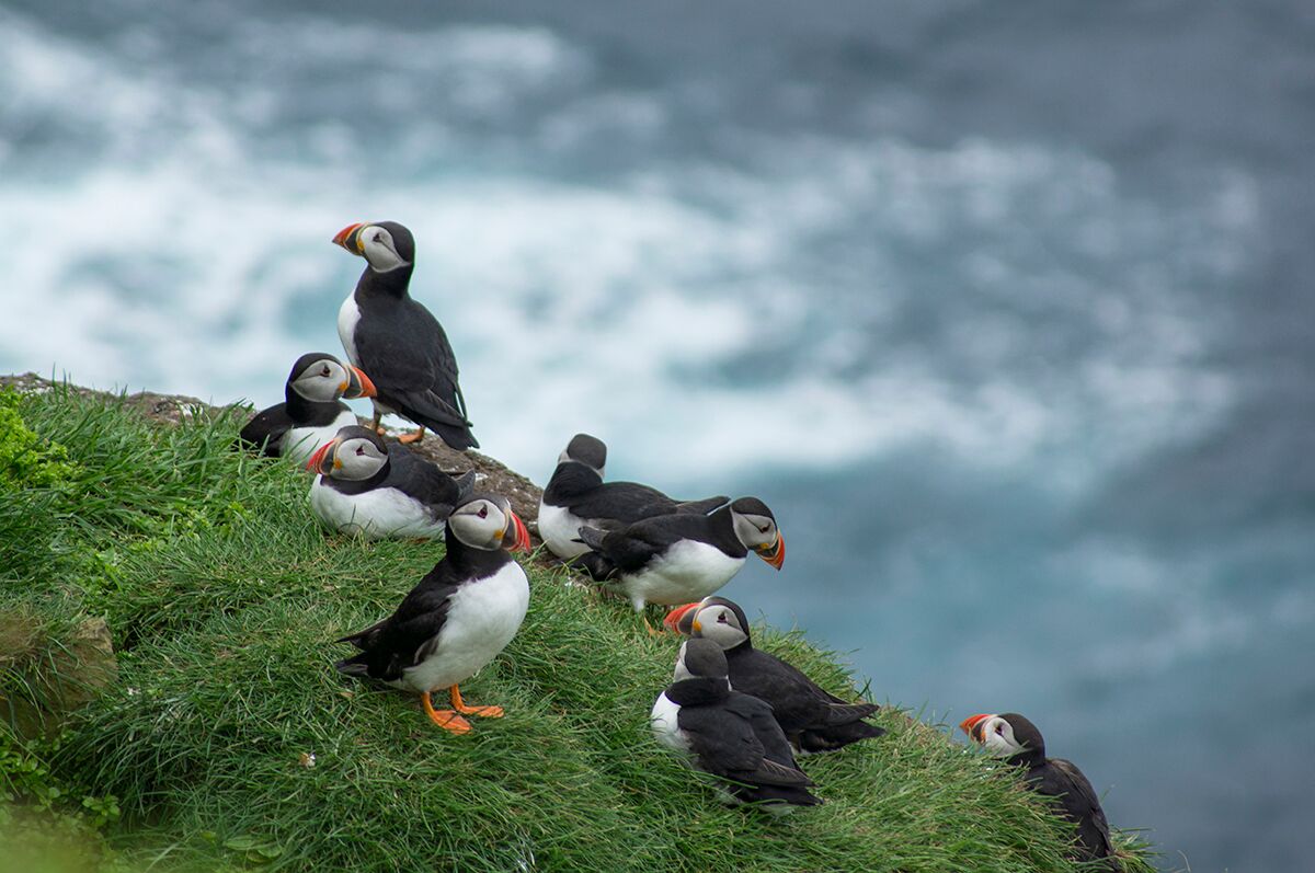 13cd658427729028817978ab22fdab4e.jpg?v=2