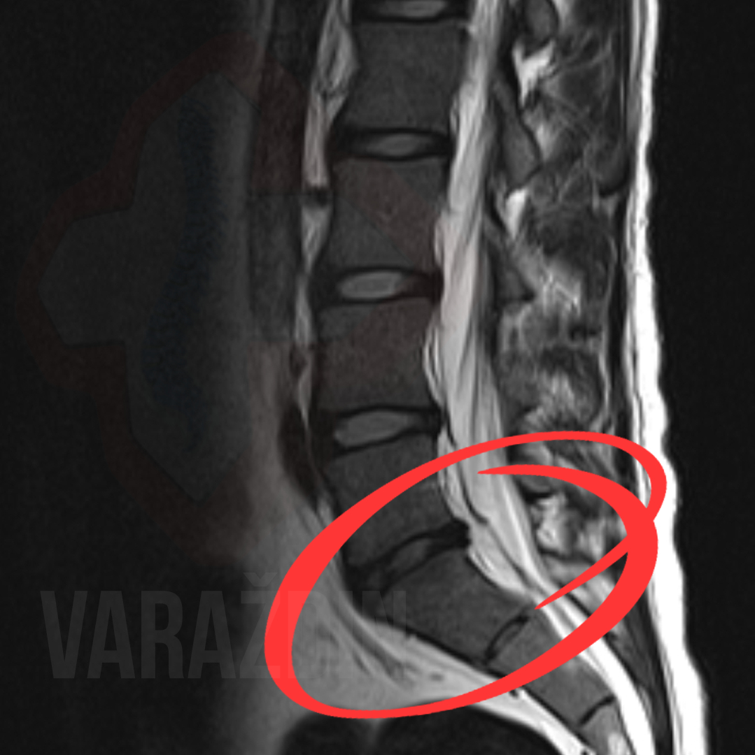 1657d0a8741fb2fd5be5f7b1b43bc050.jpg?v=2