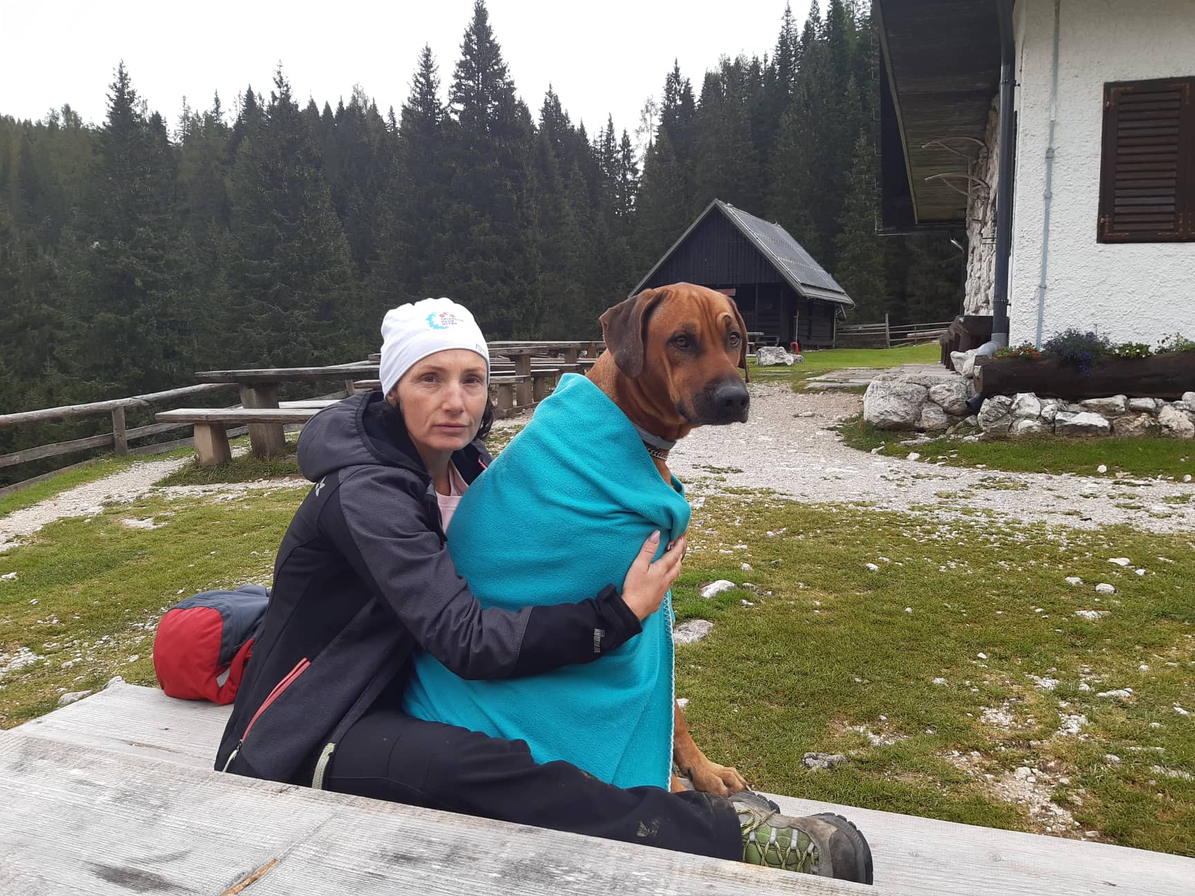 23152da369ee5afada772df5370110c8.jpg?v=2