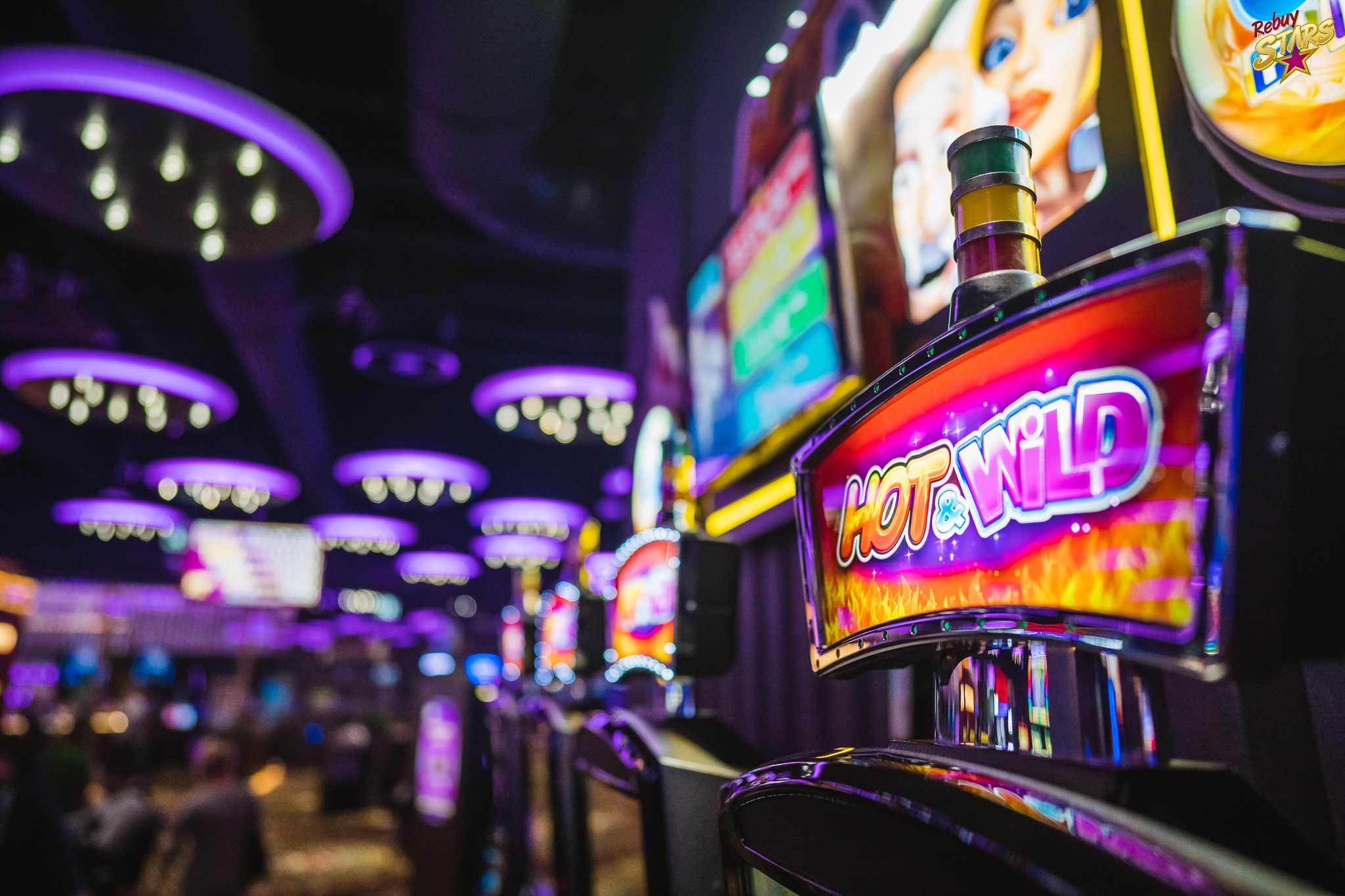 2b5dd744c3acb0a3a186252738135e76.jpg?v=2