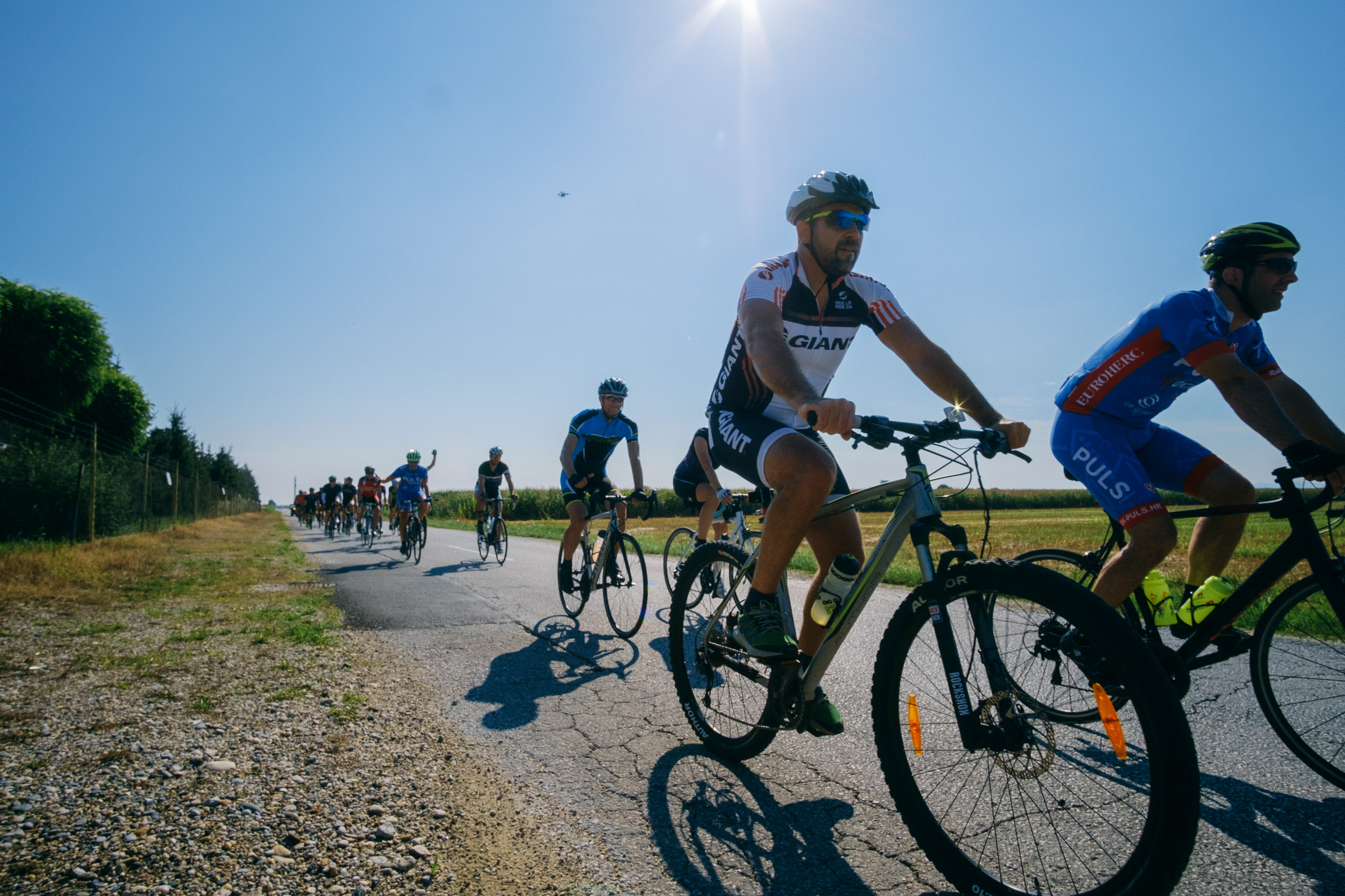 30449ca43c267140c000326565431176.jpg?v=2