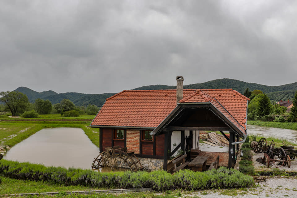 34b716dc2a4d124a9bcdda5024dcfff0.jpg?v=2