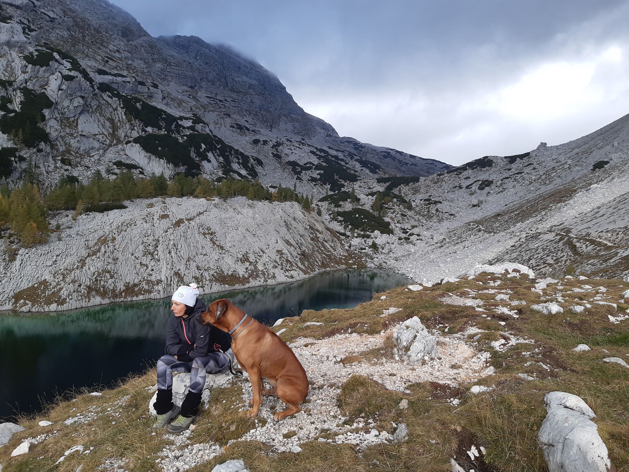 3632dba5131992b1f65b8e3ff658a279.jpg?v=2