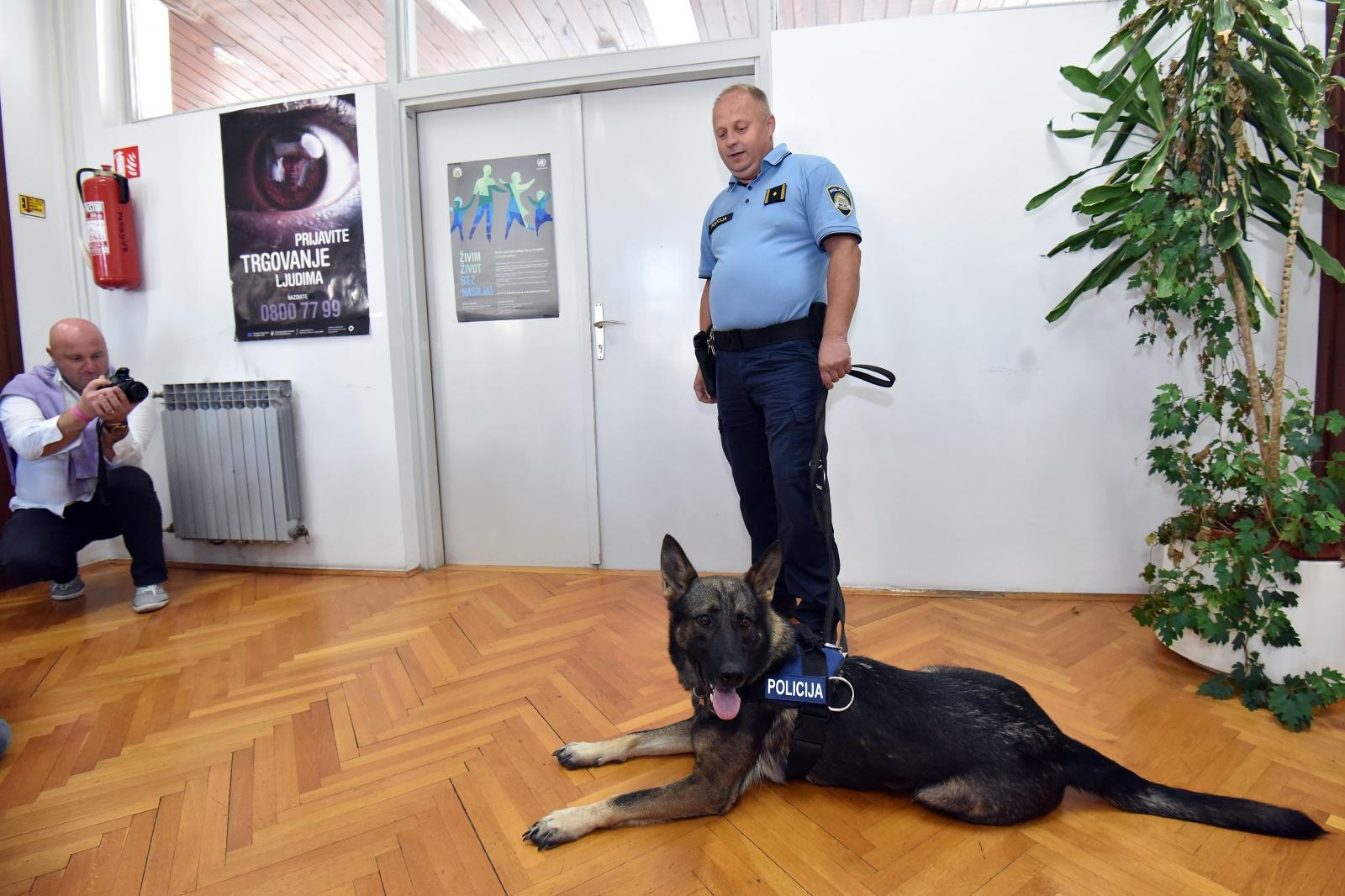 38eb1a767e94c5b84fe39dee771443ac.jpg?v=2