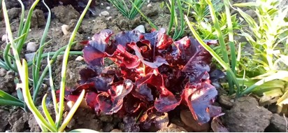 3b45d8cfb5518c02727dd1dc85f933bb.jpg?v=2