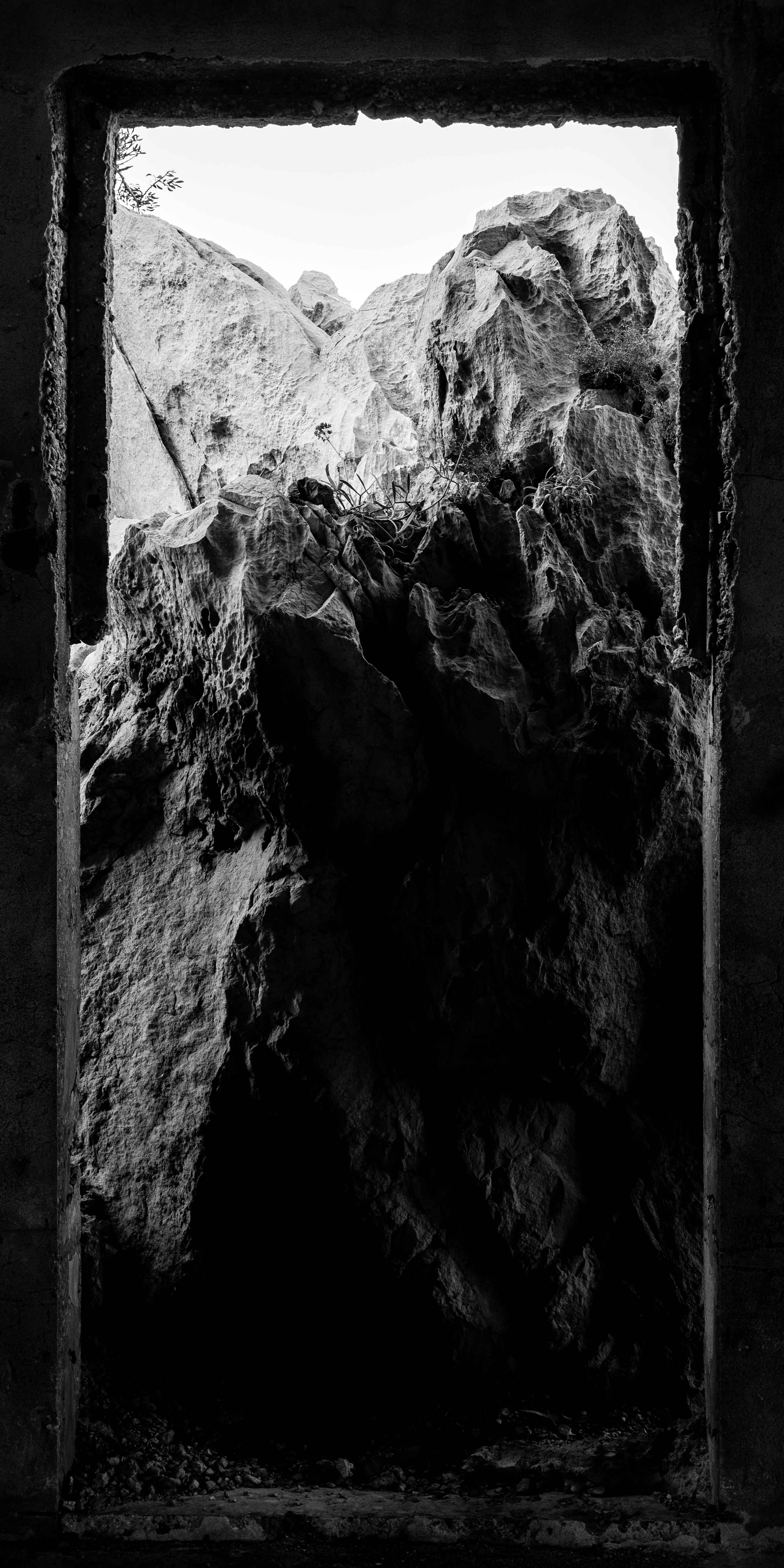 3b800fe53777e73a2e9d4936acdb1b37.jpg?v=2