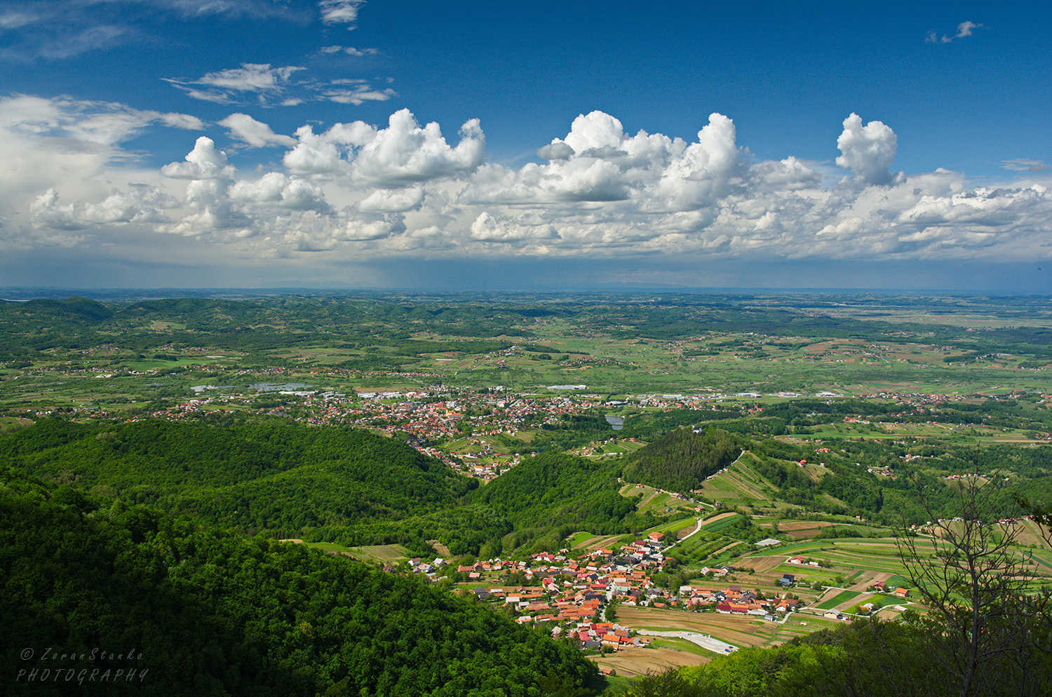 3e2a60c147aa226385406eaee3b4e353.jpg?v=2