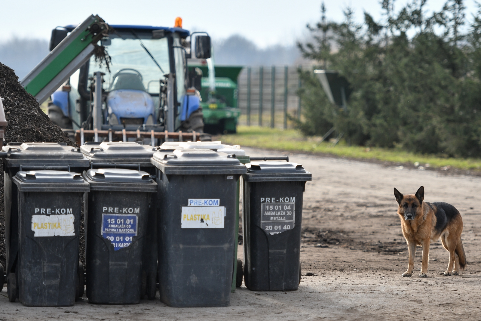 3e450582ba94a819f71b37cc5a91afea.jpg?v=2