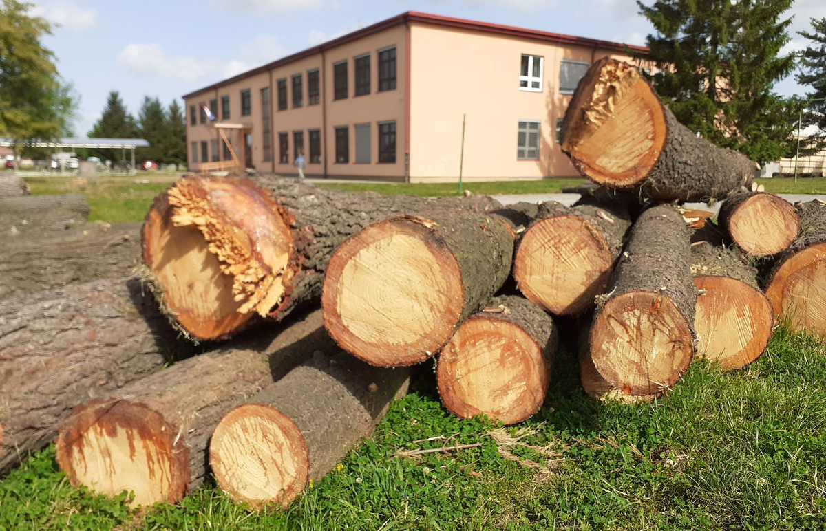 3f1be4aae308b263629dd0f558fe1e52.jpg?v=2