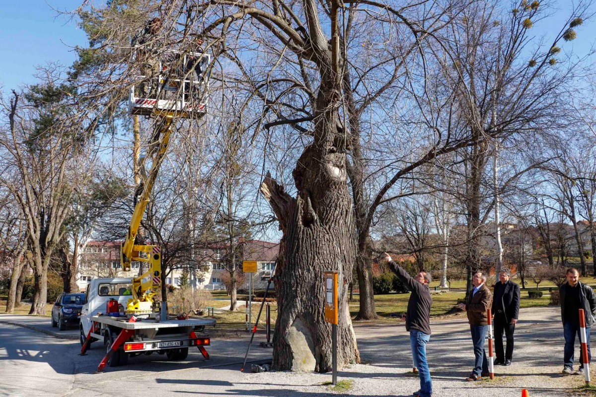 427b125b189eb74b9f691bf3988d47a9.jpg?v=2