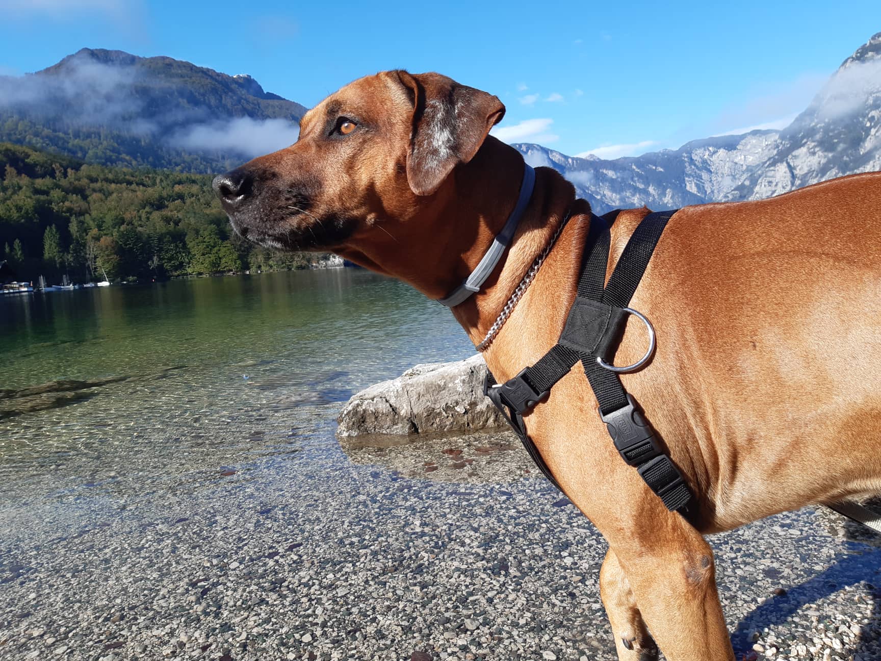 443fc48f18e30cc6ca87653c620ed749.jpg?v=2