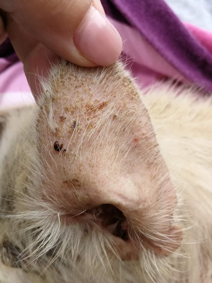 473ca5c307193a7e2598705c901b416a.jpg?v=2