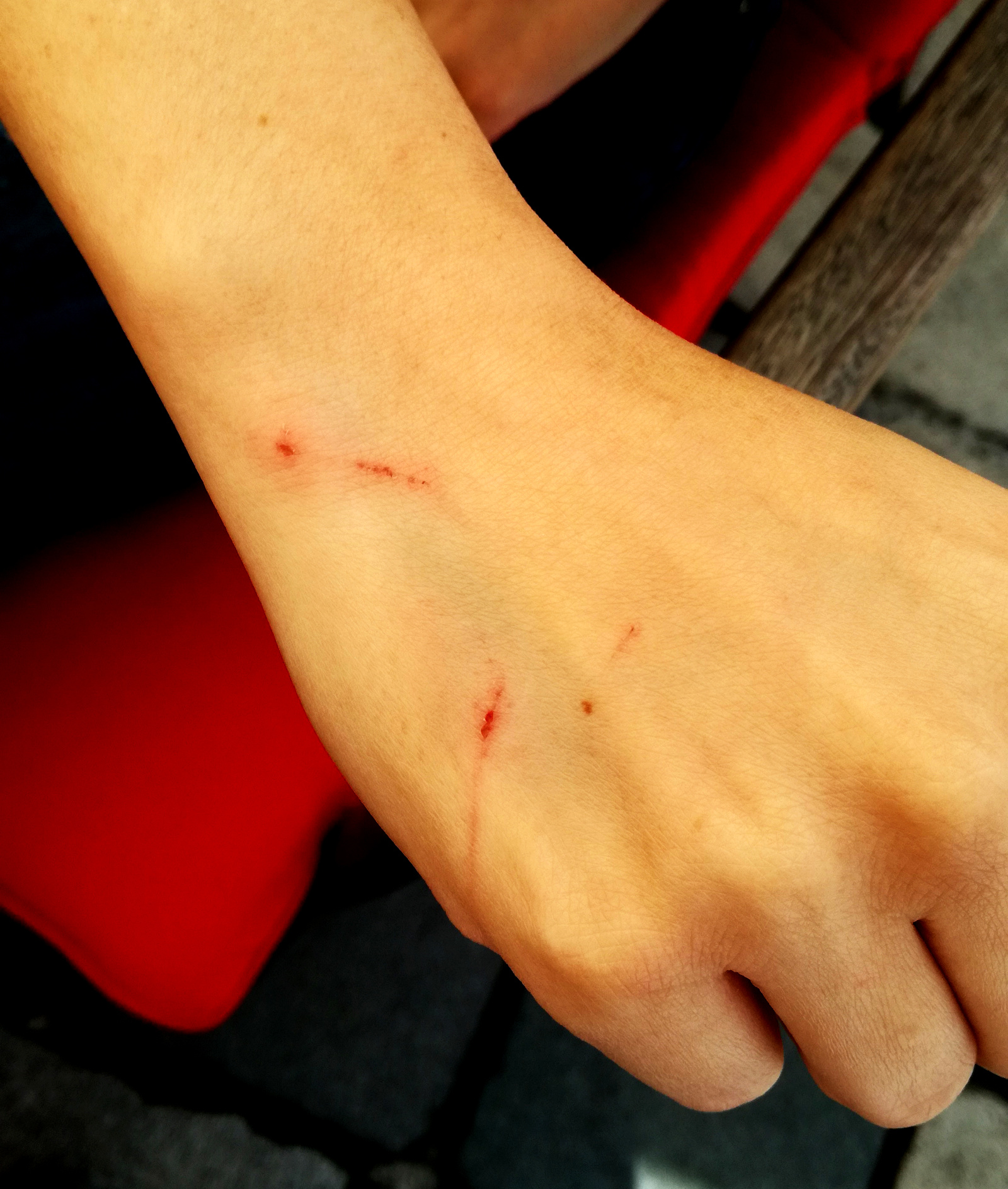 4769ab7a9ed4b351a719f80decad3756.jpg?v=2