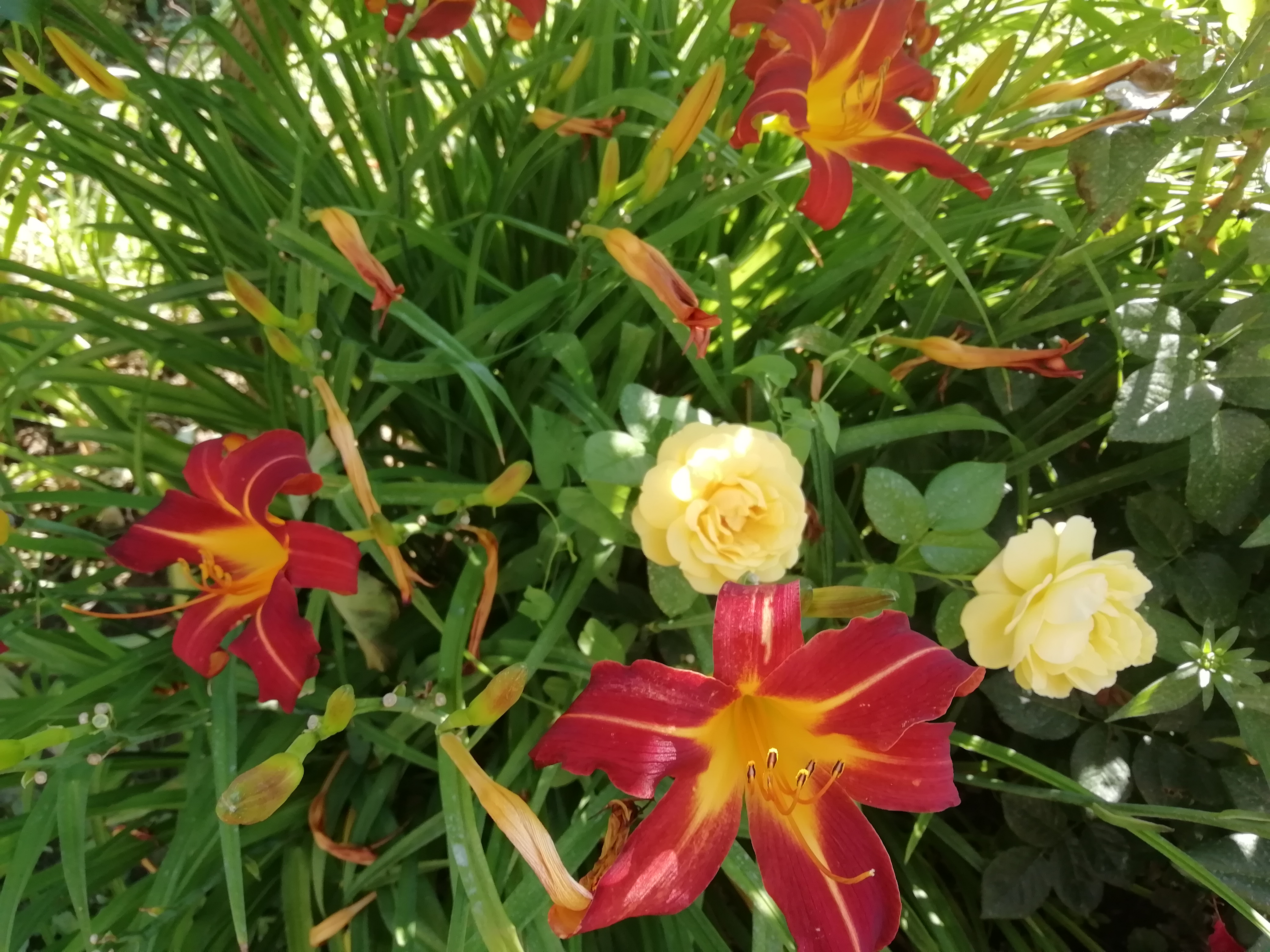 534d776169d36e603c3d555fa7457bc9.jpg?v=2