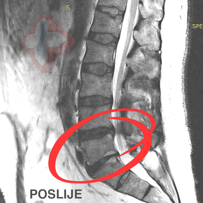 54b7a7e00f3402ec5648ff3cdce88ab7.jpg?v=2