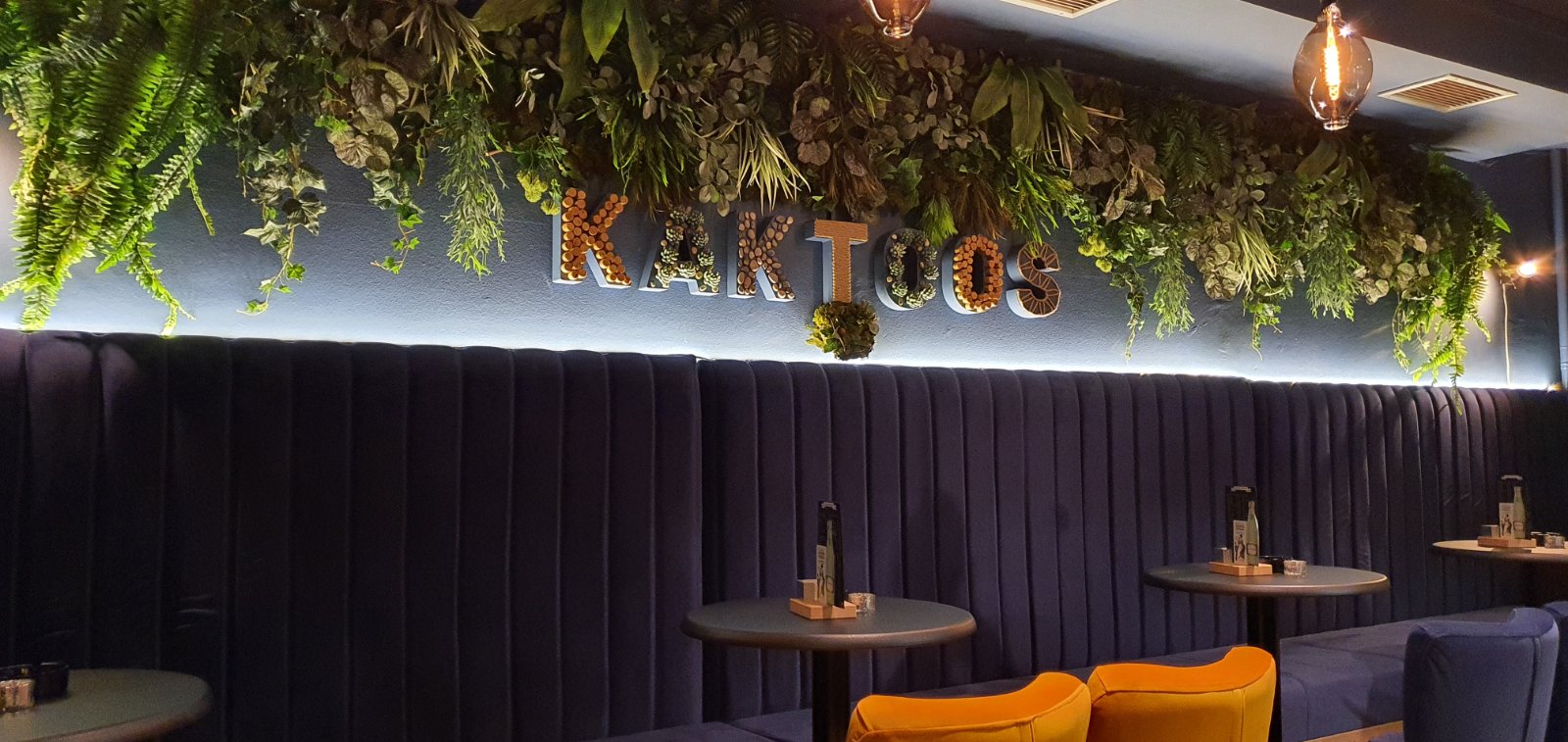 5a88b832aa9070e62c009471388b535b.jpg?v=2