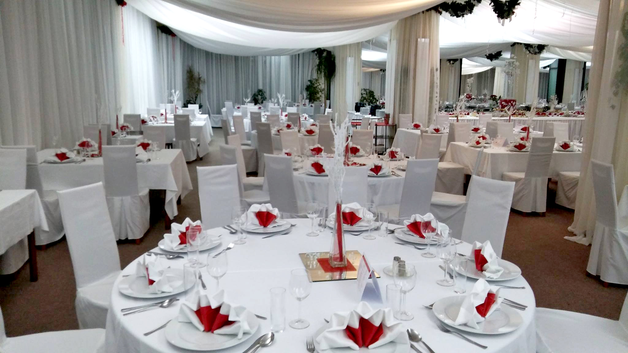 5c5105334a6fdcdb094f26a72b180dcd.jpg?v=2