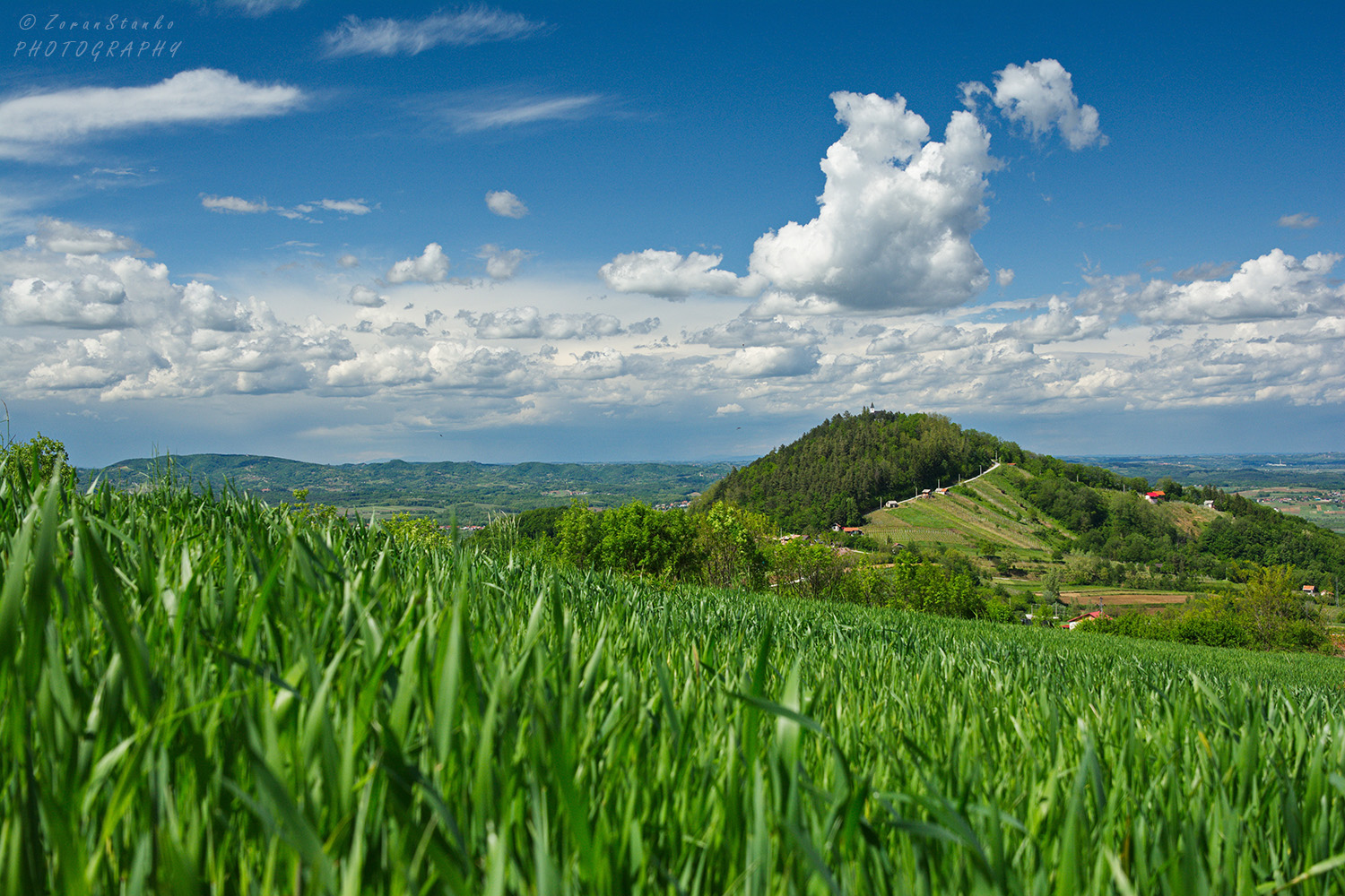 63155f62c39ac8c1c77936bac4aaa82b.jpg?v=2