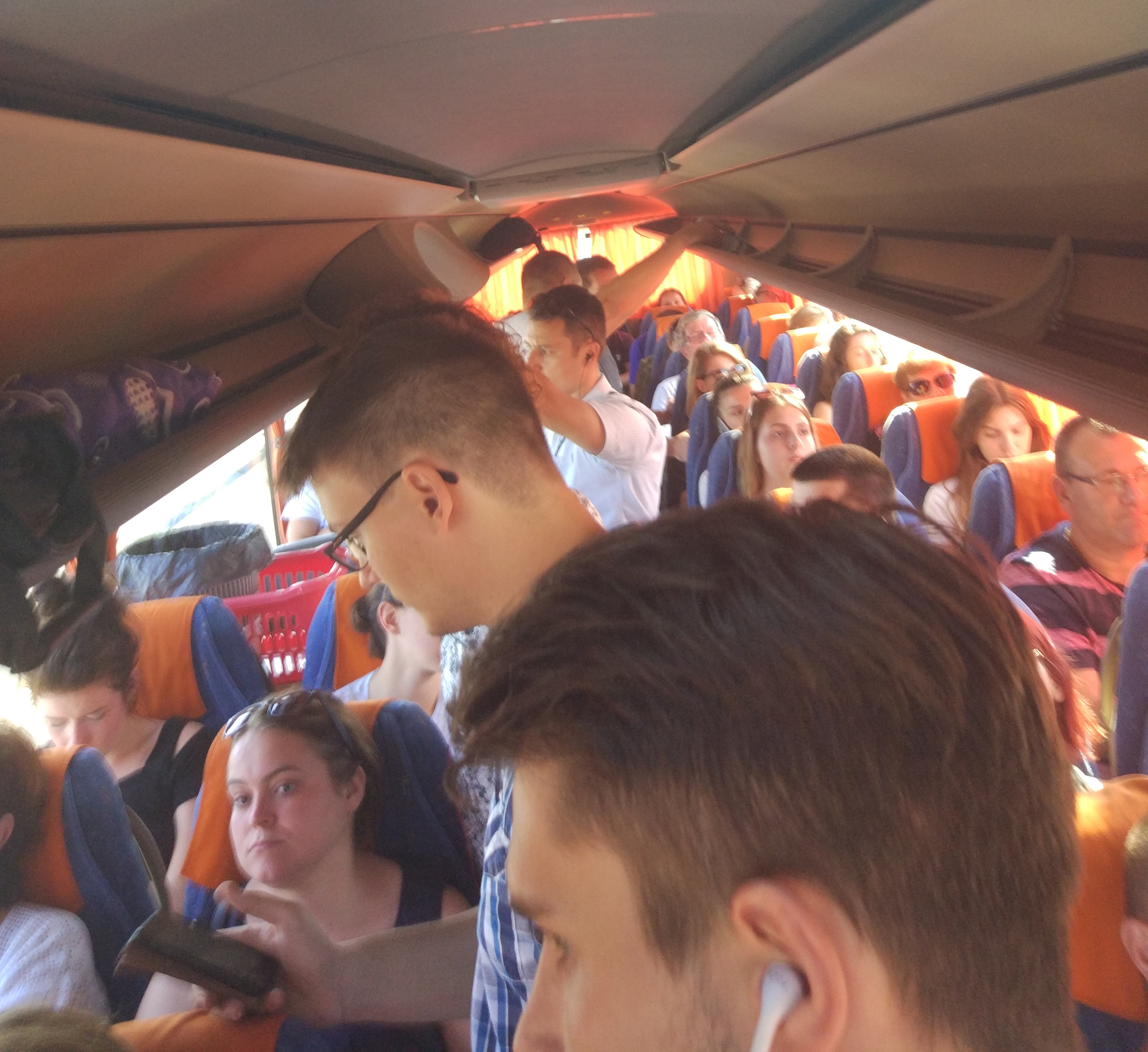 67916c33446bb98ba2bba758c21796a8.jpg?v=2