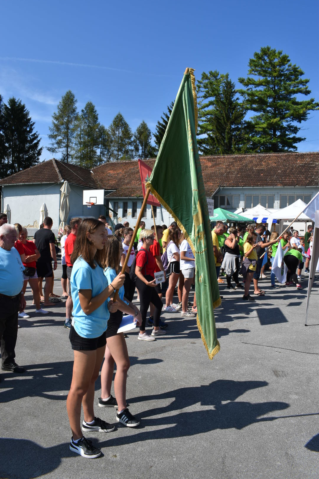 6964754469ee6935bc464f7ede233569.jpg?v=2