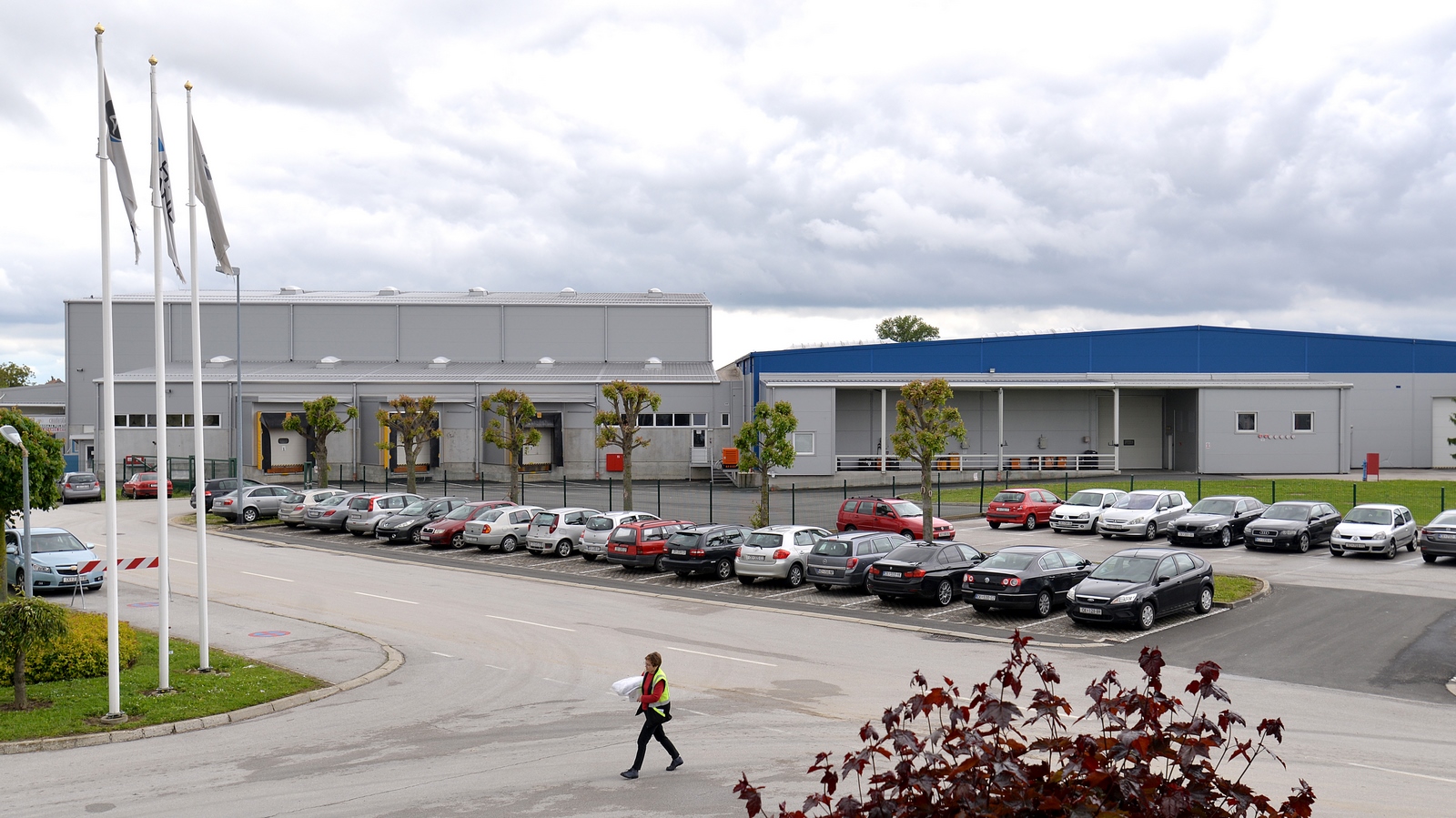 7a22d9d39862a439ab778347e2267339.jpg?v=2