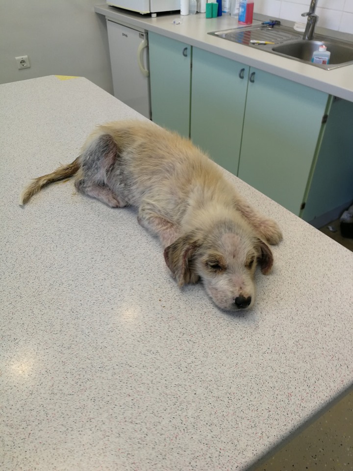 81f5399f110c18ff658bbaad0859f69f.jpg?v=2