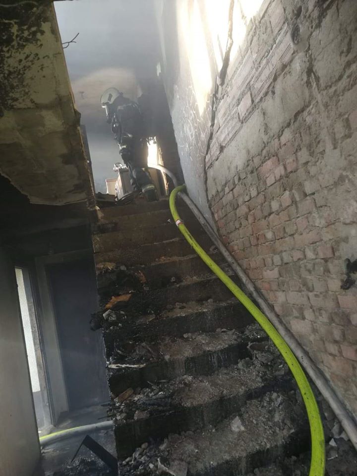 8262705436a2a879b1910161ba68c86b.jpg?v=2