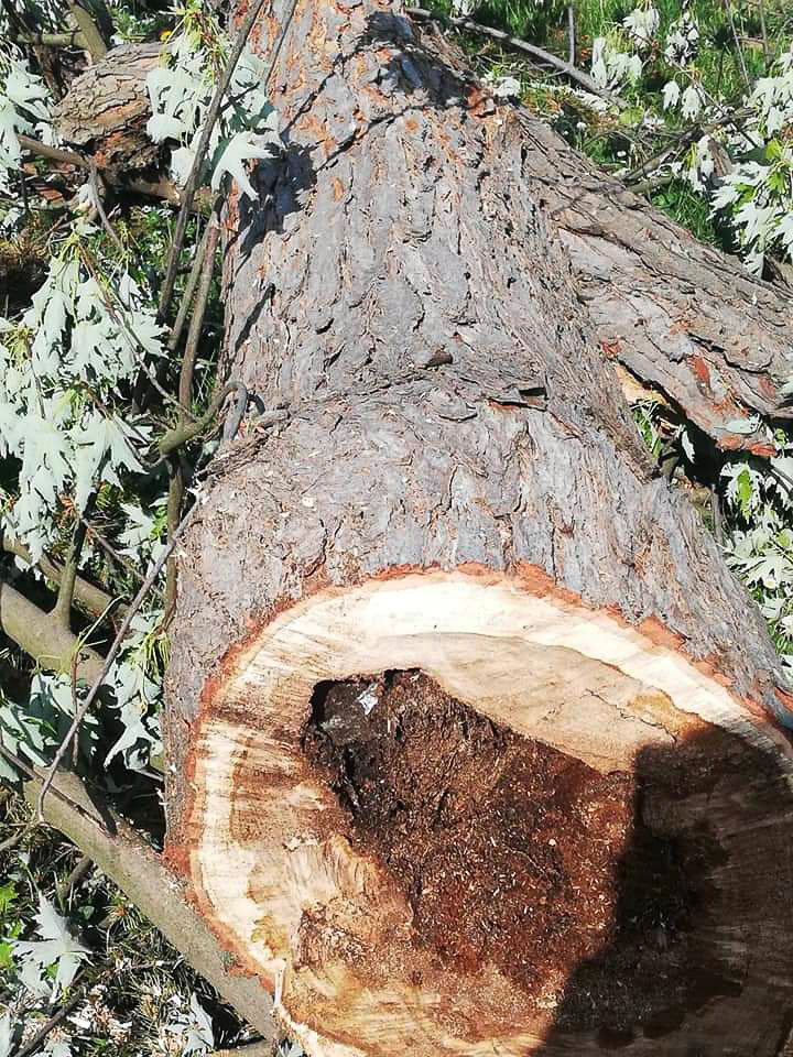 89c2e7710abd5bc084c76f3e389a8c3a.jpg?v=2