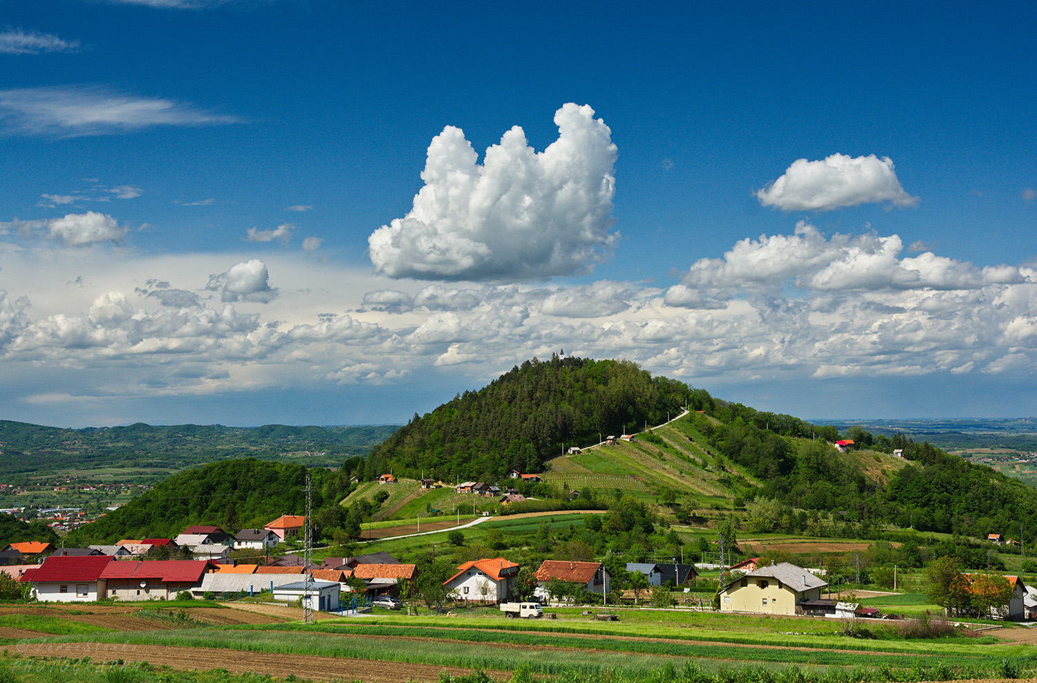 8ed764d186f7b60c4b90f7610028c493.jpg?v=2