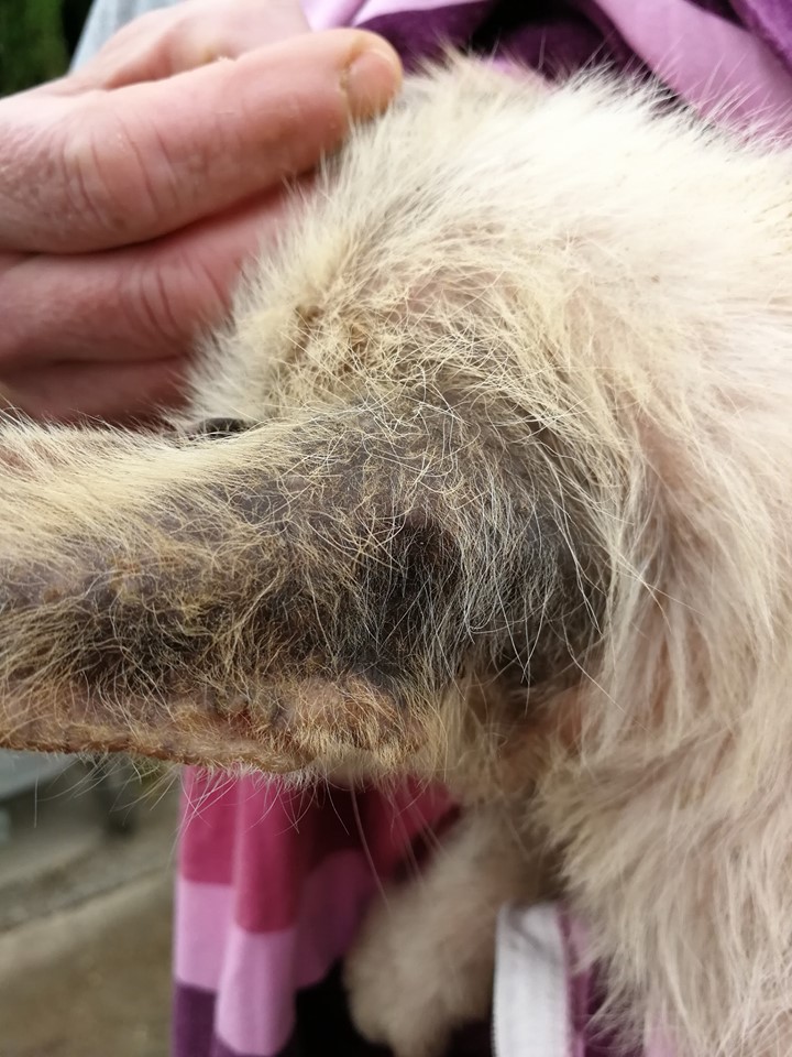 9255f1606c9aca6381d5c71831d80064.jpg?v=2