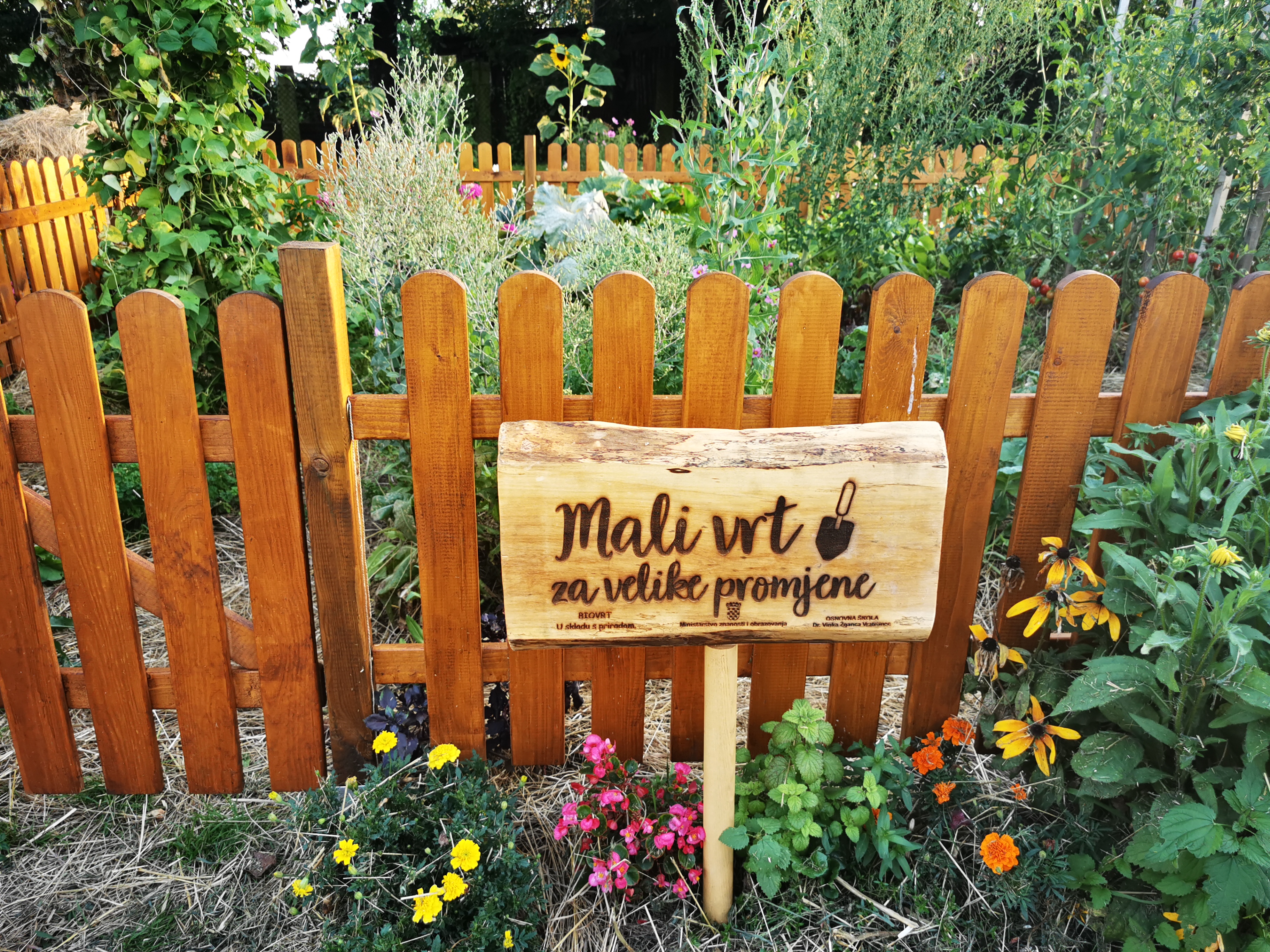 UDRUGA BIOVRT Dva mala školska vrta za velike promjene — eMedjimurje.hr