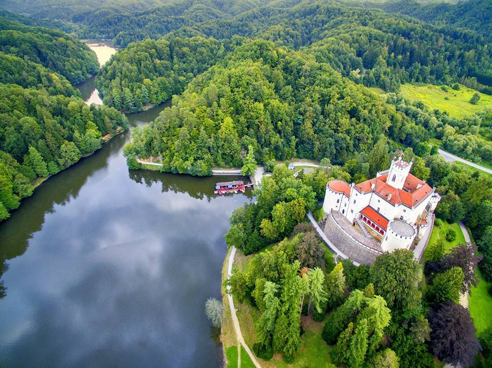 9e494670fcadf94fb550f77a78791839.jpg?v=2