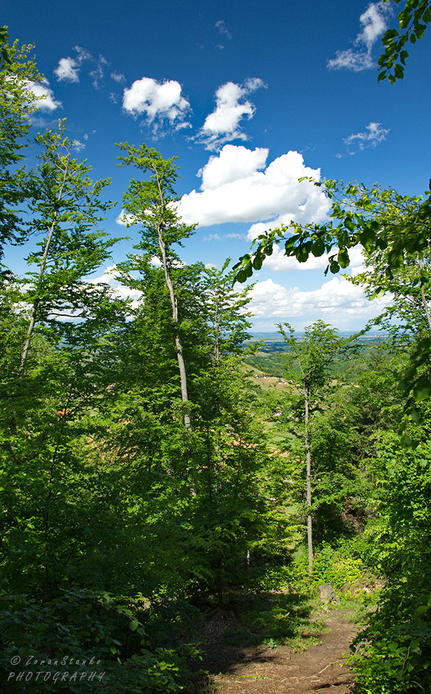 9f4e16b7a356e3fe14b102cdee3d2a9e.jpg?v=2