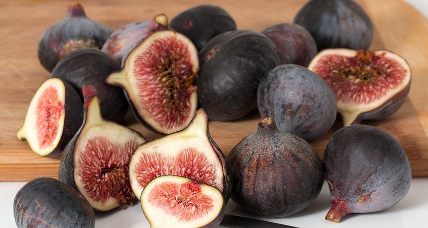 Smokve dvorotke - RTL ŽIVOT I STIL