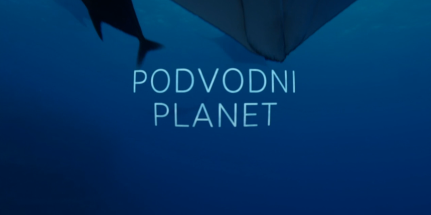 Od večeras na Kockici: Dokumentarna serija koja otkriva zadivljujuću ljepotu plavetnih dubina 'Podvodni planet'