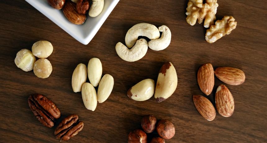 Koja hrana je bogata proteinima? Evo naše liste!