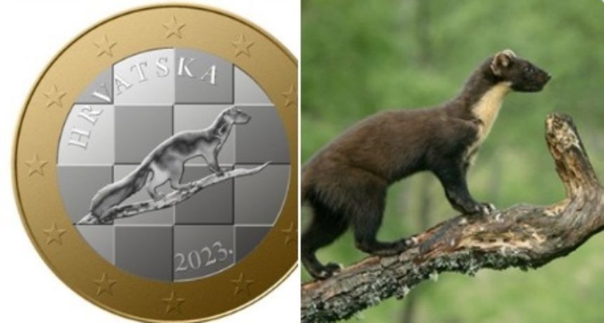 L'autore della foto, che ha lo stesso aspetto della premiata moneta dell'euro croata, ha parlato