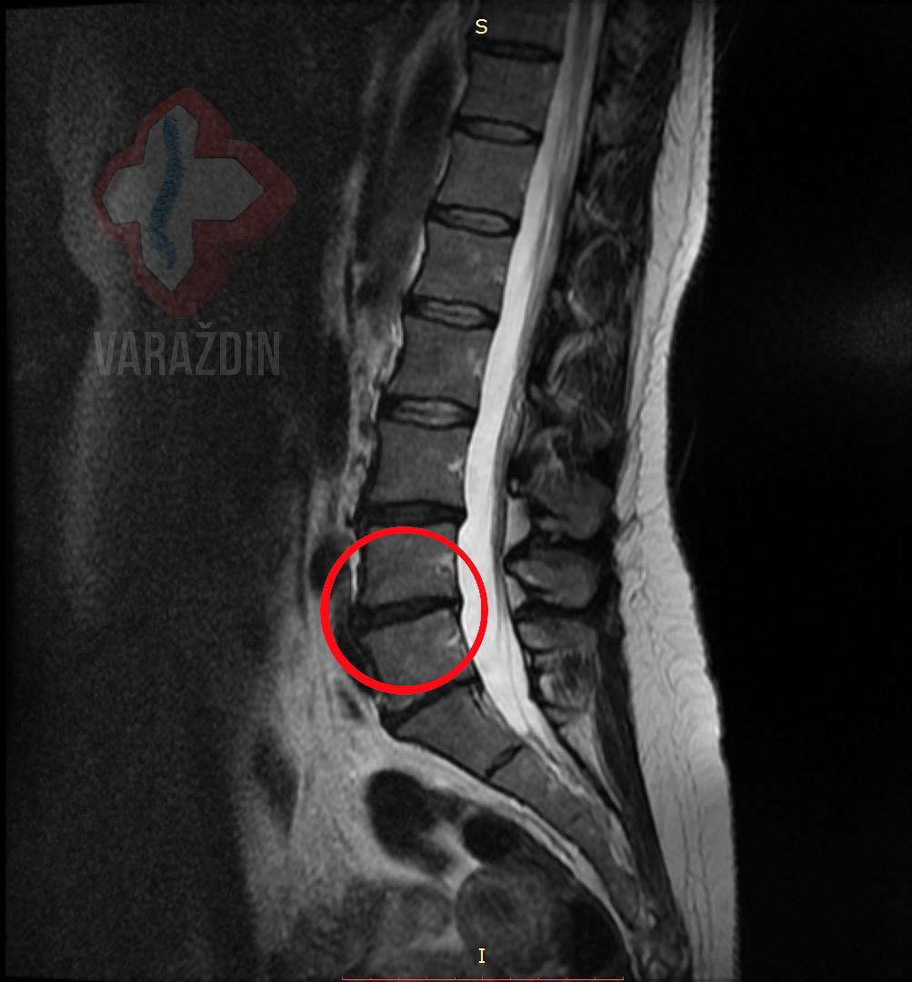 afc6560c67244850ef051d4d41497893.jpg?v=2