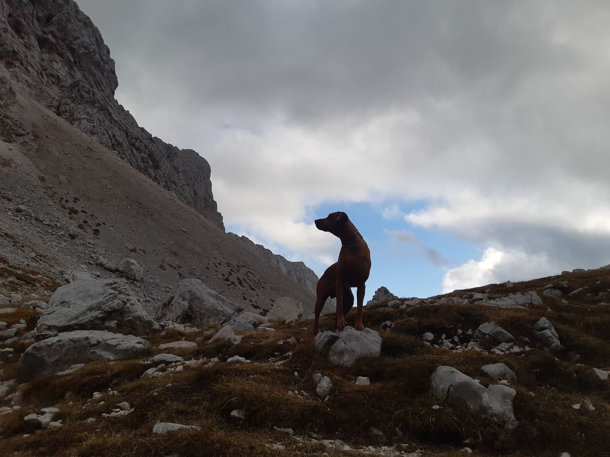 b8f449b8ac54d5de8a0e08277d9773d3.jpg?v=2