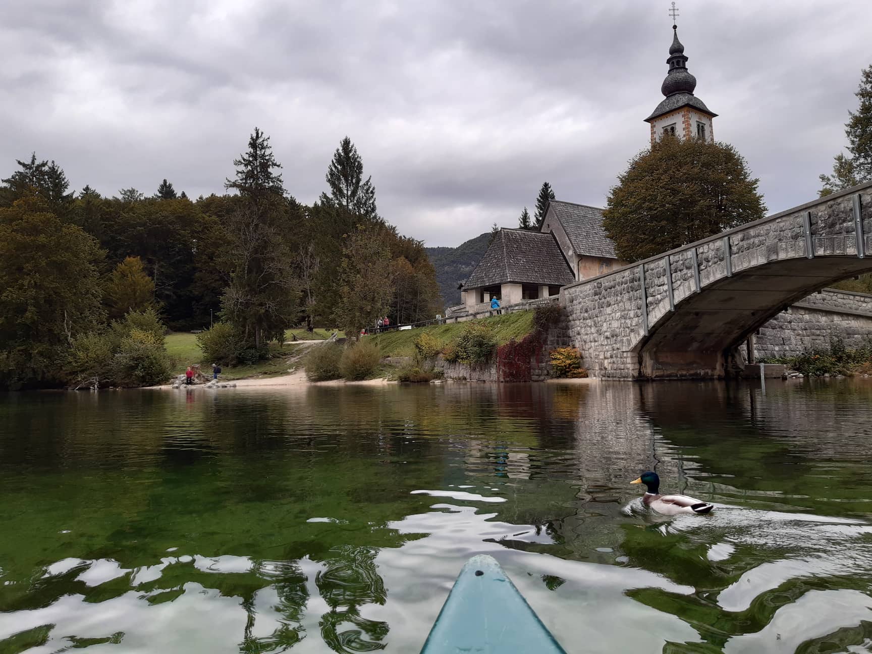 cefaf81003e4a2d46c133872a6a06a0d.jpg?v=2