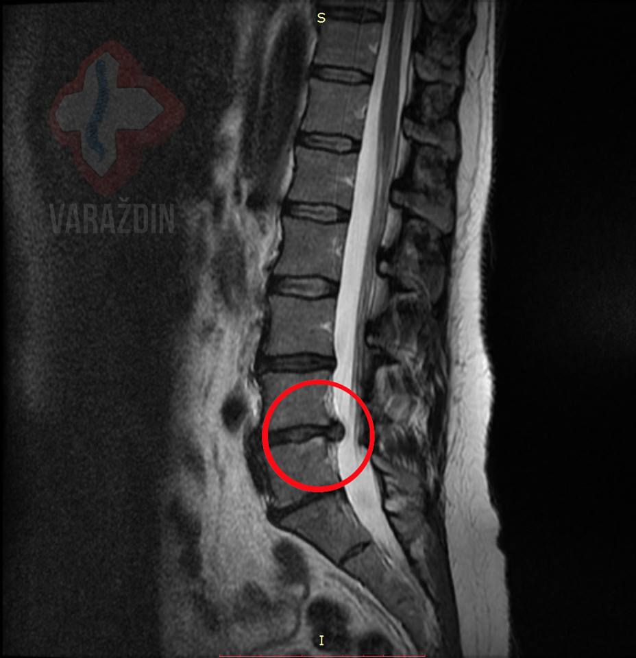 d3cc991b573592e54285e717ec4c74af.jpg?v=2