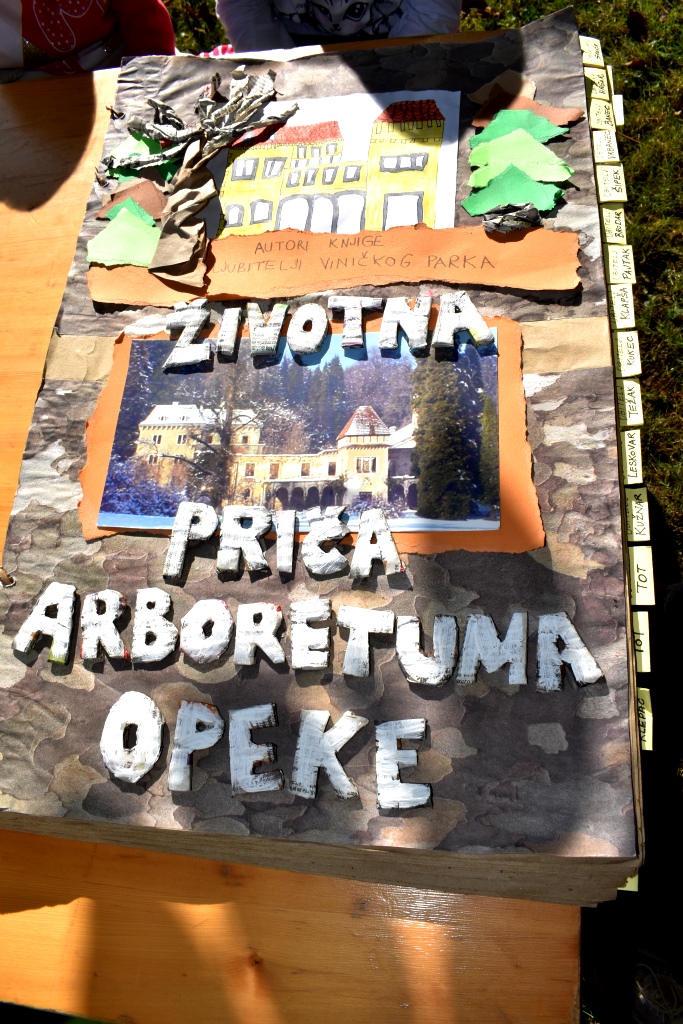 dbd3d7463d8e18a471129024a7b5b7df.jpg?v=2