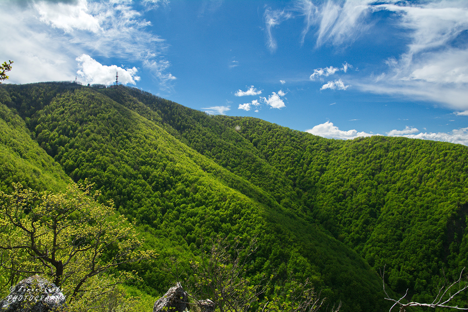 dcc5409d6f774426b7f819fb995fdd99.jpg?v=2