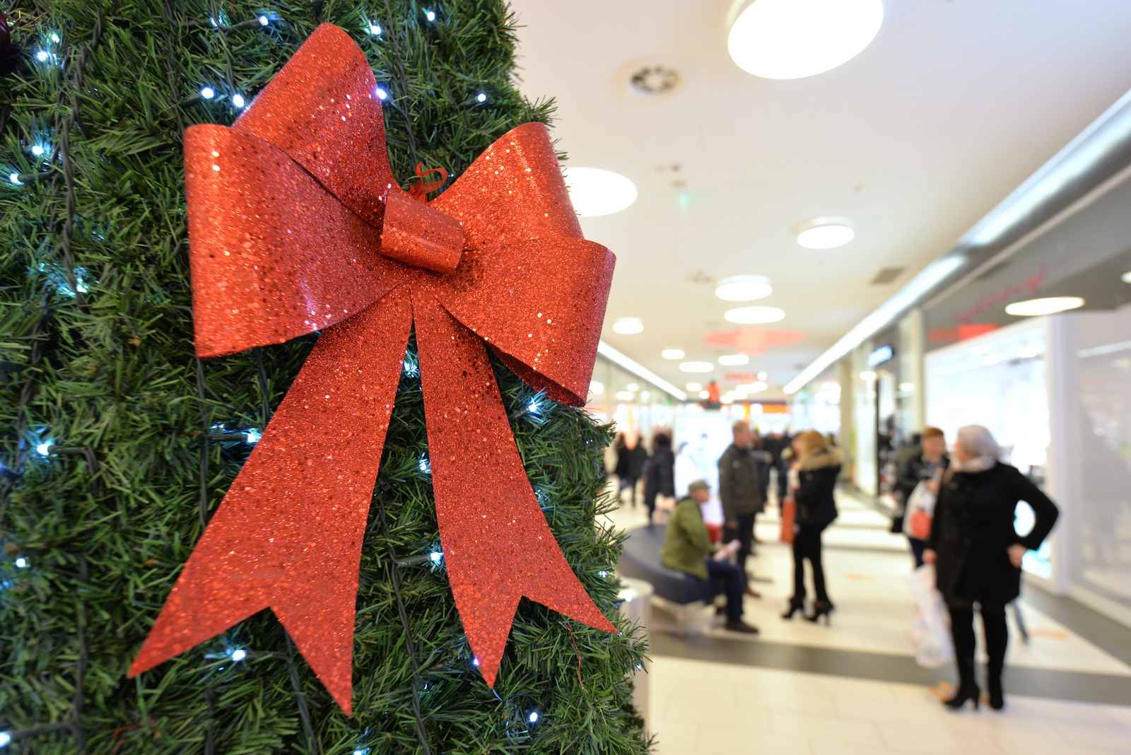 dfeab52159b63410d999adf69412efed.jpg?v=2