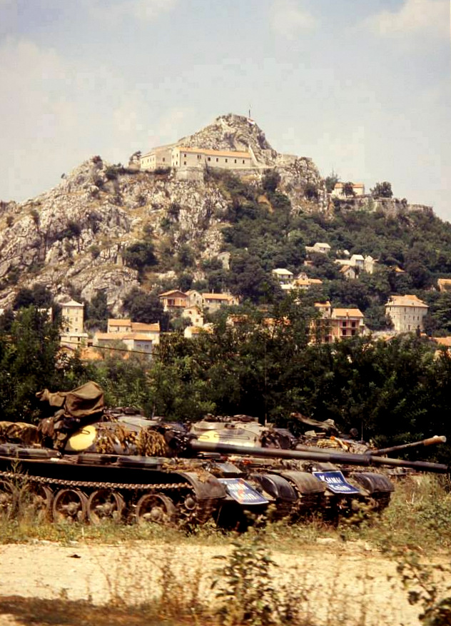 e1fcf802d10d4971e621f92e3356a5c0.jpg?v=2