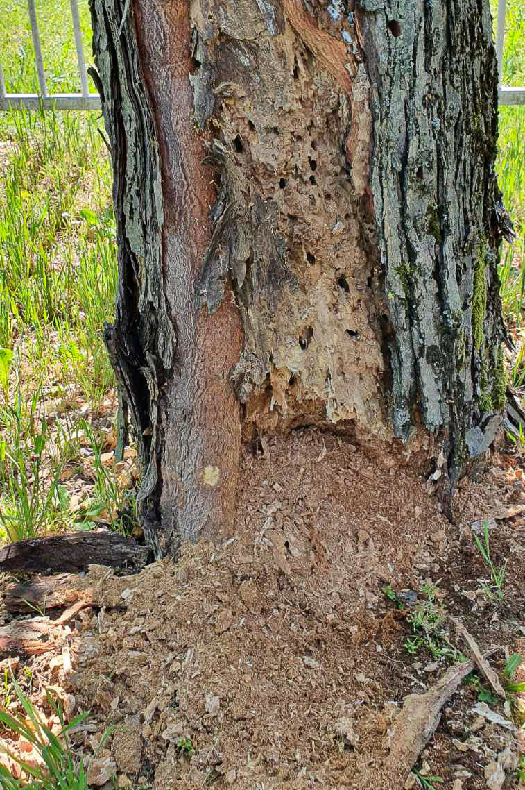 e7ba713e73d2292e86fb5fd6f24dfb6a.jpg?v=2