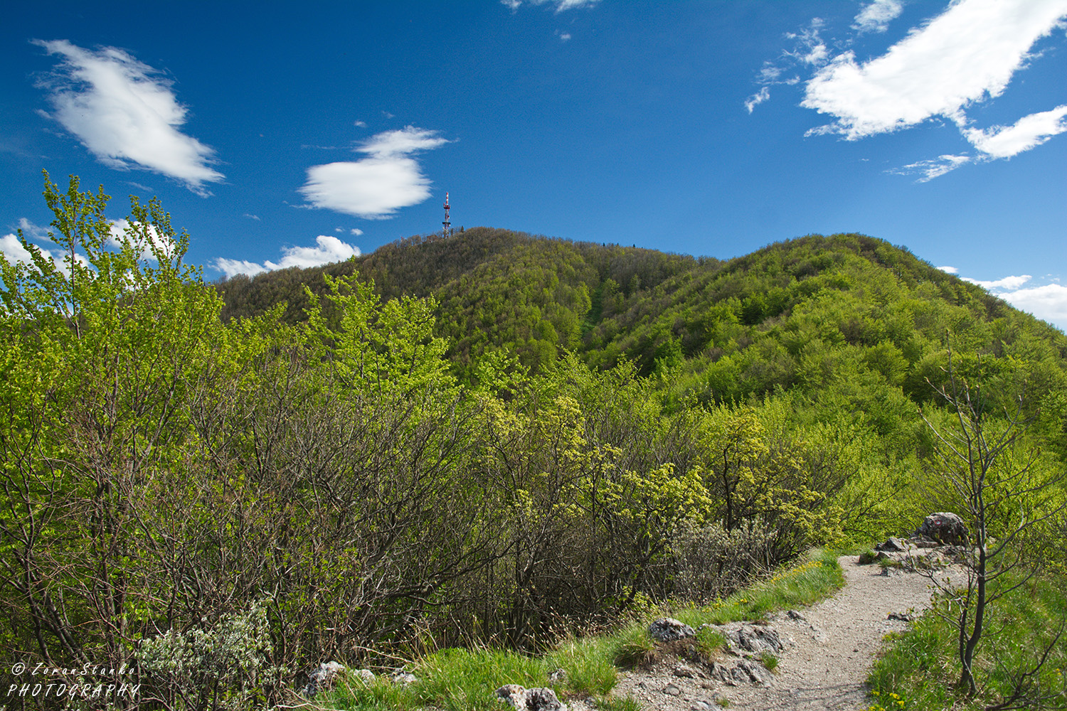 ec288266a8efc83a02fd1b26e98601f5.jpg?v=2